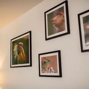  Appartement Kasa Tardy - Spacieux, Lumineux&cosy - Machine à Laver - Tv&wifi France